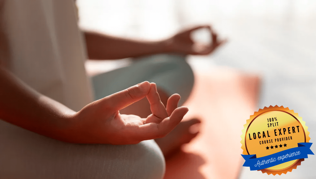Critical Thinking & Mindfulness – Discover the Present Moment & Explore Complex Issues course by Erasmus+ Courses Croatia