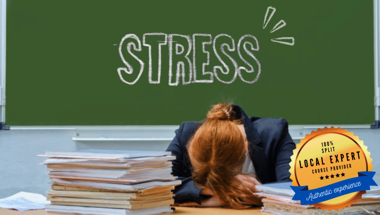 Well-Being Strategies for Teachers: Nurture Mental Health course for teachers by Erasmus+ Courses Croatia in Split