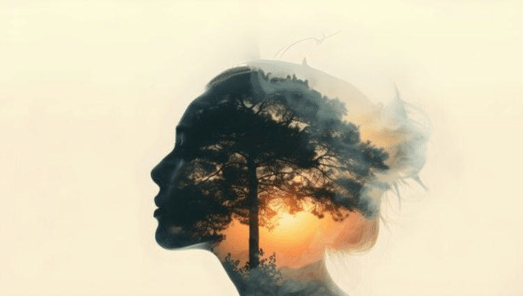 Mental health course for teachers by Erasmus Courses Croatia
